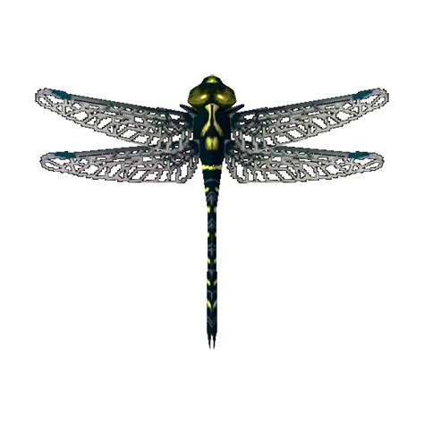 animal crossing dragonfly petaltail.